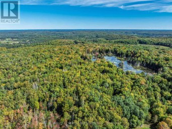 1453 FLEMING ROAD Minden Hills (Anson) Ontario photo 39