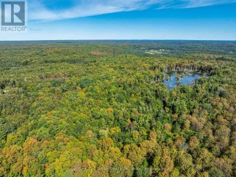 1453 FLEMING ROAD Minden Hills (Anson) Ontario photo 40