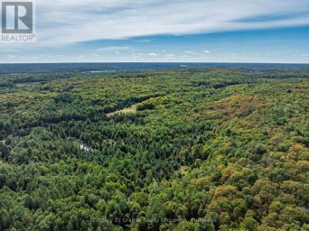 1453 FLEMING ROAD Minden Hills (Anson) Ontario photo 41