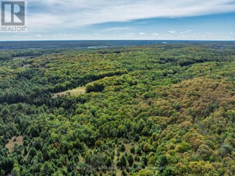 1453 FLEMING ROAD Minden Hills (Anson) Ontario photo 43