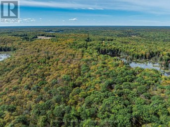 1453 FLEMING ROAD Minden Hills (Anson) Ontario photo 44