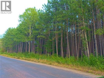 1030 Cox Point Road Cumberland Bay New Brunswick photo 13