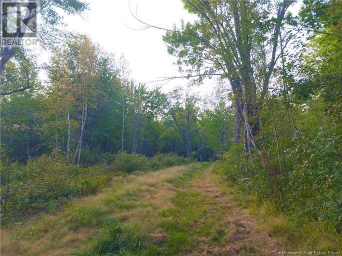1030 Cox Point Road, Cumberland Bay, New Brunswick, E4A2Y8