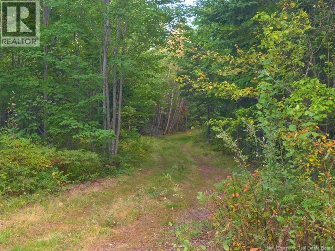 1030 Cox Point Road, Cumberland Bay, New Brunswick, E4A2Y8