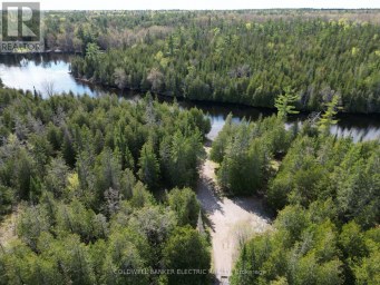 0 OSBORNE COURT Marmora and Lake (Marmora Ward) Ontario photo 12