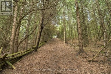 820 RAHMEL ROAD Otonabee-South Monaghan Ontario photo 47