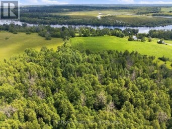 820 RAHMEL ROAD Otonabee-South Monaghan Ontario photo 49