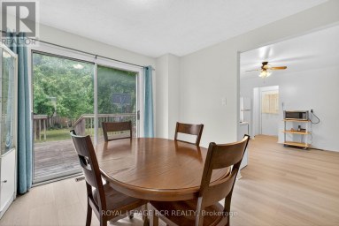 856 MAGNOLIA AVENUE Newmarket (Huron Heights-Leslie Valley) Ontario photo 18