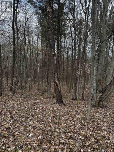 224 CHURCH STREET, Penetanguishene, Ontario, L9M1G6