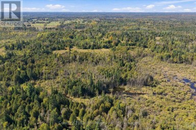 0 NORTH SCHOOL ROAD Havelock-Belmont-Methuen Ontario photo 13