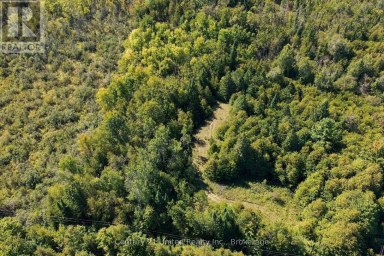 0 NORTH SCHOOL ROAD Havelock-Belmont-Methuen Ontario photo 16