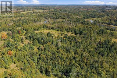 0 NORTH SCHOOL ROAD Havelock-Belmont-Methuen Ontario photo 17