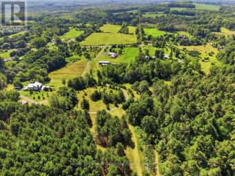 254 AIRPORT ROAD Quinte West (Sidney Ward) Ontario photo 41