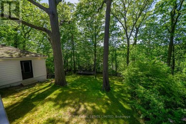 56 PINE CRESCENT Toronto (The Beaches) Ontario photo 33