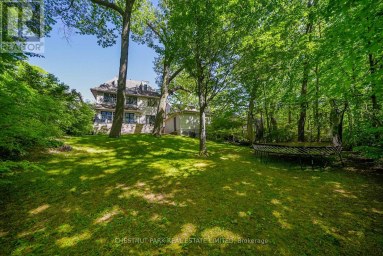 56 PINE CRESCENT Toronto (The Beaches) Ontario photo 34