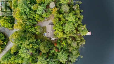 82 FIRE ROUTE 291 Trent Lakes Ontario photo 2