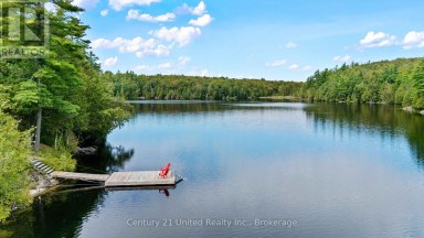 82 FIRE ROUTE 291 Trent Lakes Ontario photo 3