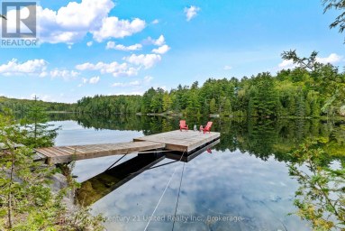 82 FIRE ROUTE 291 Trent Lakes Ontario photo 35