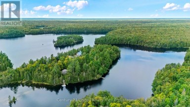82 FIRE ROUTE 291 Trent Lakes Ontario photo 39