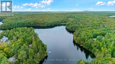 82 FIRE ROUTE 291 Trent Lakes Ontario photo 40