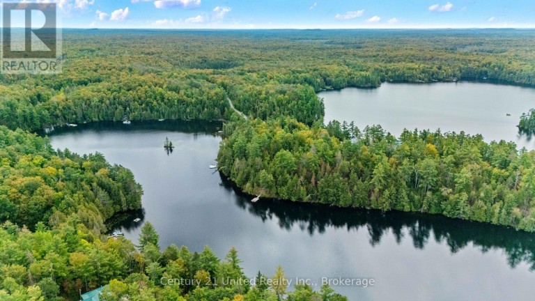 82 FIRE ROUTE 291, Trent Lakes, Ontario, K0L1J0