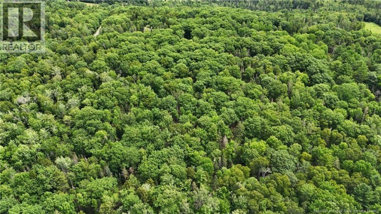 Lot 12-2 Hills Point Road, Oak Bay, New Brunswick, E3L4K5