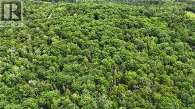 Lot 12-2 Hills Point Road Oak Bay New Brunswick photo 10