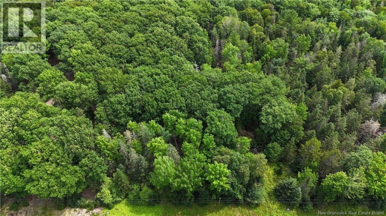 Lot 12-2 Hills Point Road, Oak Bay, New Brunswick, E3L4K5