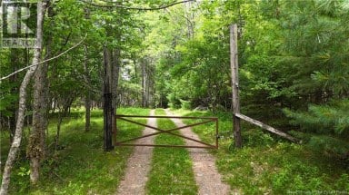 Lot 12-2 Hills Point Road Oak Bay New Brunswick photo 4
