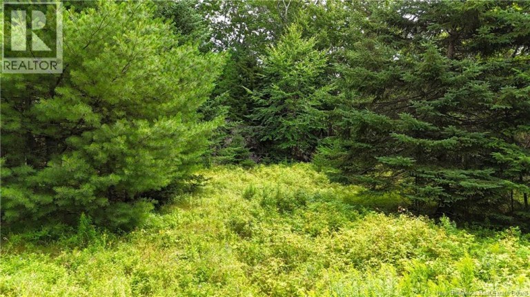 Lot 12-2 Hills Point Road, Oak Bay, New Brunswick, E3L4K5