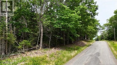 Lot 12-2 Hills Point Road Oak Bay New Brunswick photo 8
