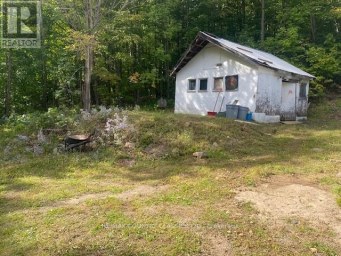 132 TROUT LAKE ROAD Faraday Ontario photo 3