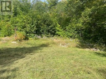 132 TROUT LAKE ROAD Faraday Ontario photo 5