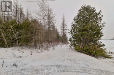 LOT 31 9 COUNTY ROAD Melancthon Ontario photo 10
