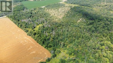 LOT 31 9 COUNTY ROAD Melancthon Ontario photo 2