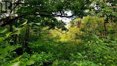 LOT 31 9 COUNTY ROAD Melancthon Ontario photo 3