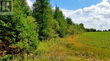 LOT 31 9 COUNTY ROAD Melancthon Ontario photo 4