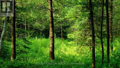 LOT 31 9 COUNTY ROAD Melancthon Ontario photo 6