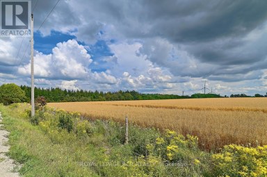 LOT 31 9 COUNTY ROAD Melancthon Ontario photo 7
