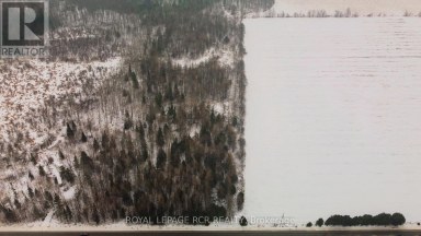 LOT 31 9 COUNTY ROAD Melancthon Ontario photo 9