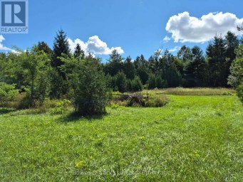 PT LOT 8 CON 7 Selwyn Ontario photo 4
