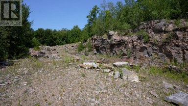 1975 QUEENS LINE ROAD Minden Hills (Minden) Ontario photo 41