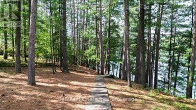 21 LUCERNE LAKE DRIVE Faraday Ontario photo 45