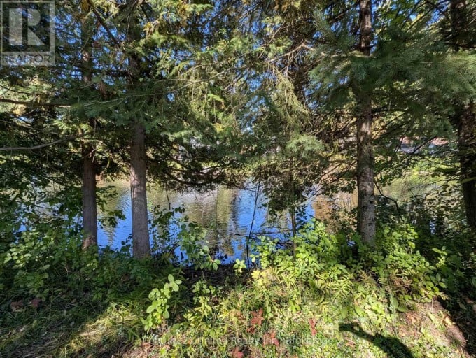 63 FIRE ROUTE 104, Kawartha Lakes (Bobcaygeon), Ontario, K0M1A0