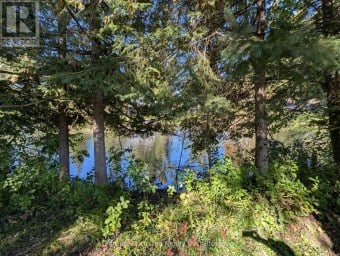 63 FIRE ROUTE 104 Kawartha Lakes (Bobcaygeon) Ontario photo 1