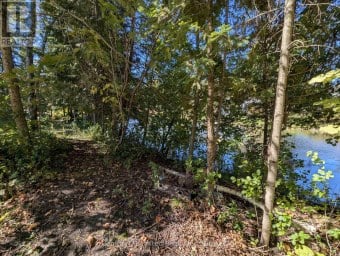63 FIRE ROUTE 104 Kawartha Lakes (Bobcaygeon) Ontario photo 5