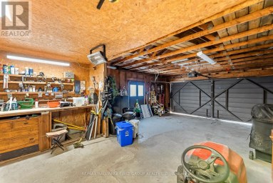 118 ALPINE LAKES ROAD Trent Lakes Ontario photo 37