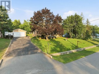 118 ALPINE LAKES ROAD Trent Lakes Ontario photo 4