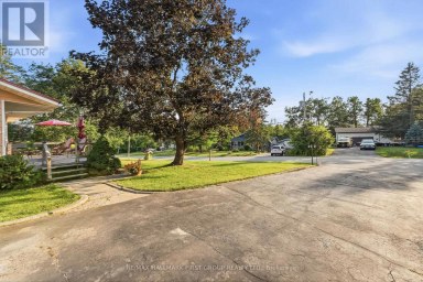 118 ALPINE LAKES ROAD Trent Lakes Ontario photo 5