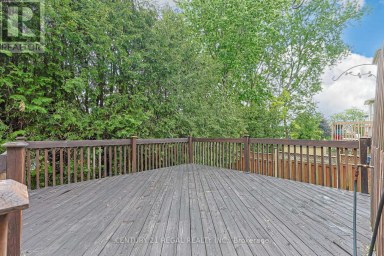 599 SANDFORD STREET Newmarket (Armitage) Ontario photo 43